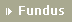 >> FUNDUS